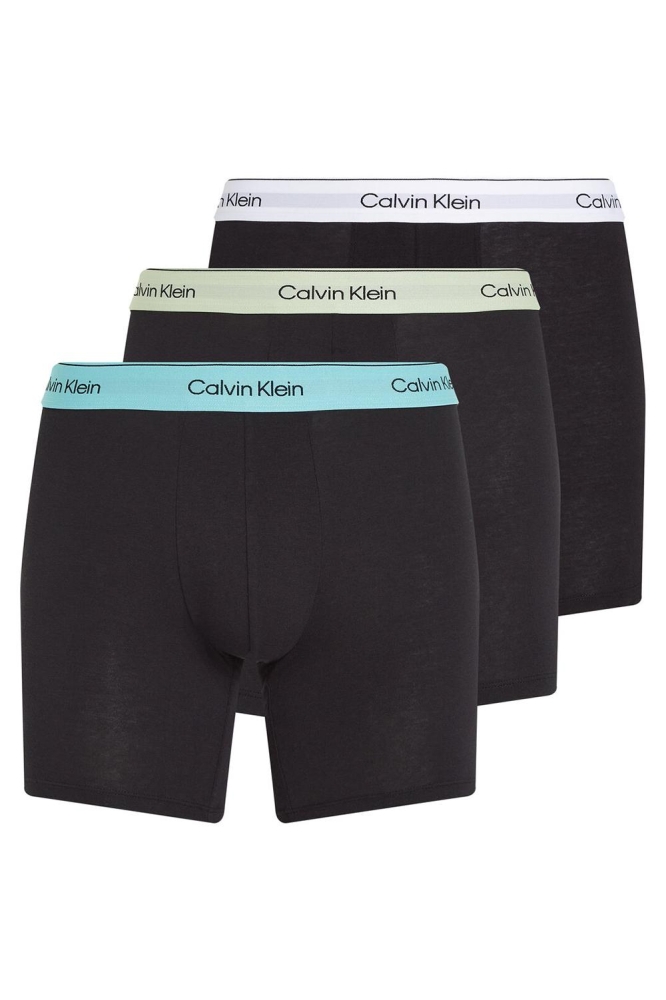 BOXER BRIEF 3PK LV00NB4394 BWHITE, BEAU BLUE, LEAFY FUN WBS